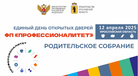 Профессионалитет